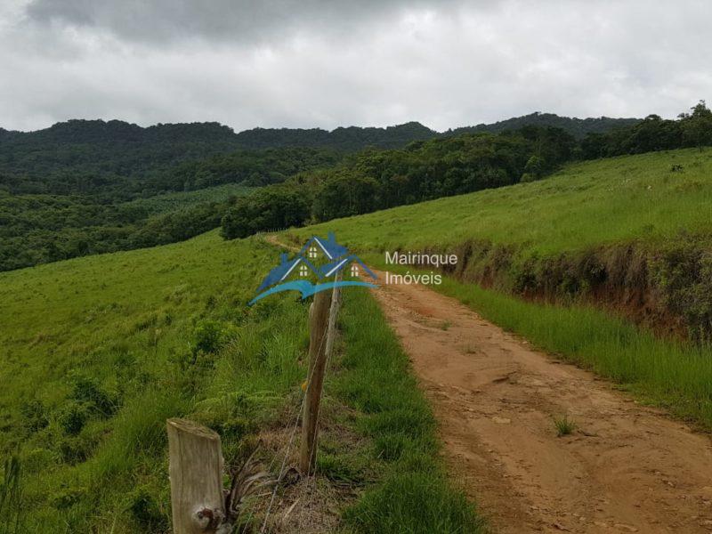 Fazenda/Sítio à Venda, 6655000 m² por R$ 25.000.000 COD. FZ04