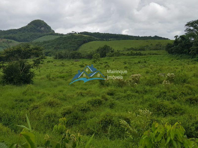 Fazenda/Sítio à Venda, 6655000 m² por R$ 25.000.000 COD. FZ04