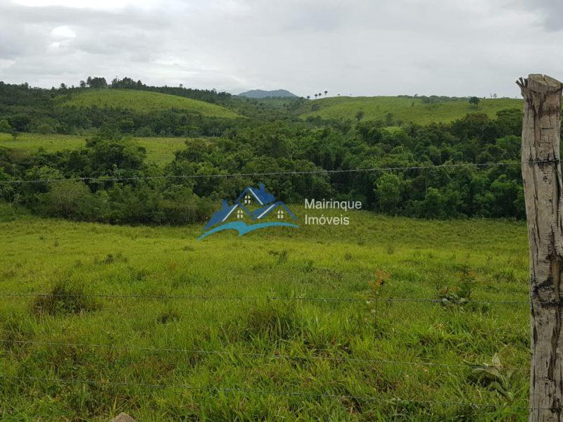 Fazenda/Sítio à Venda, 6655000 m² por R$ 25.000.000 COD. FZ04