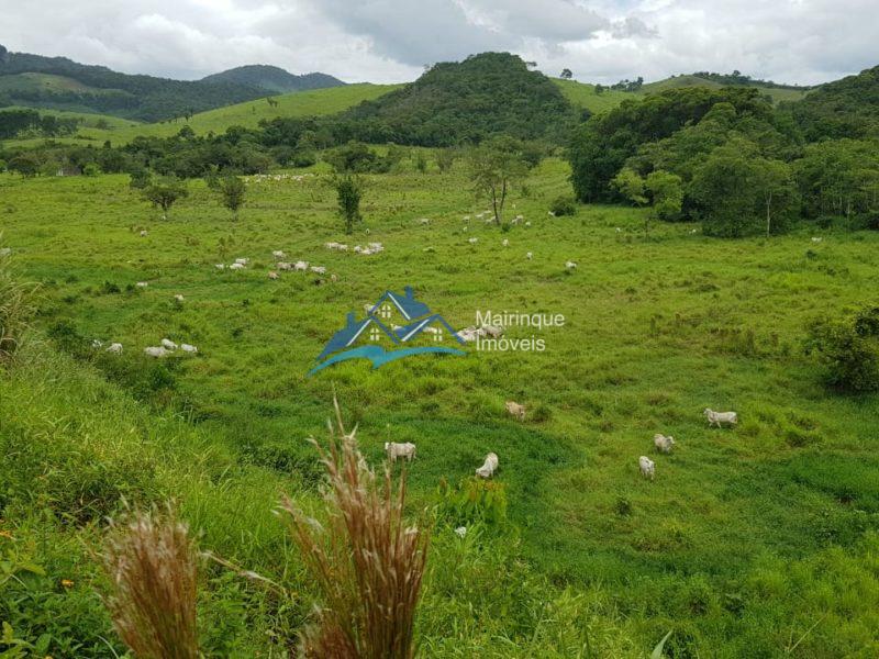 Fazenda/Sítio à Venda, 6655000 m² por R$ 25.000.000 COD. FZ04