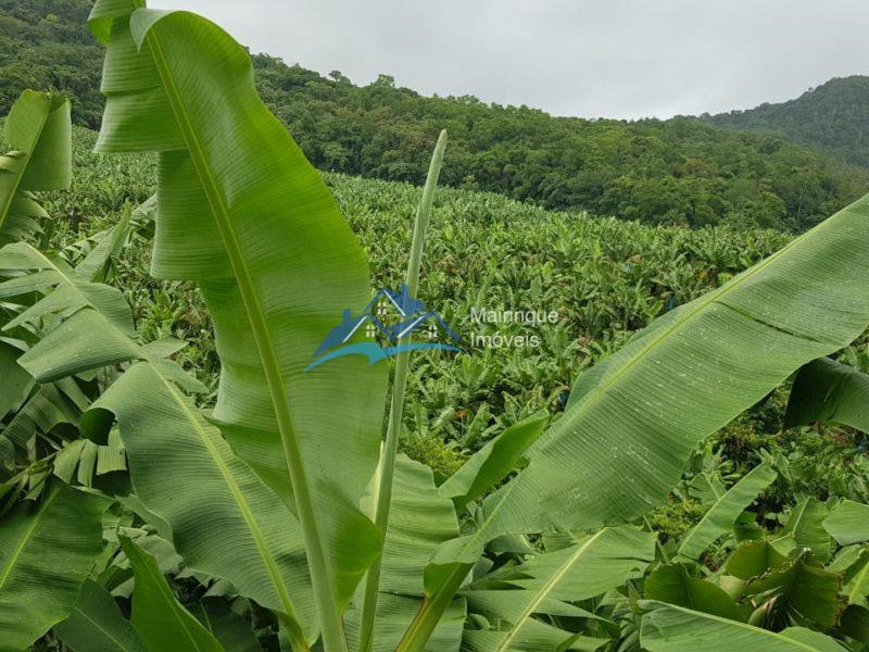 Fazenda/Sítio à Venda, 6655000 m² por R$ 25.000.000 COD. FZ04