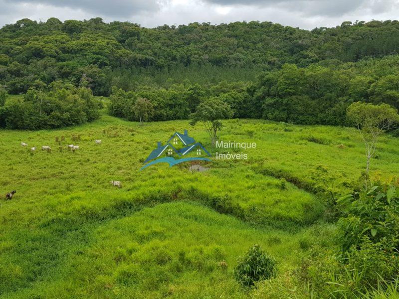 Fazenda/Sítio à Venda, 6655000 m² por R$ 25.000.000 COD. FZ04