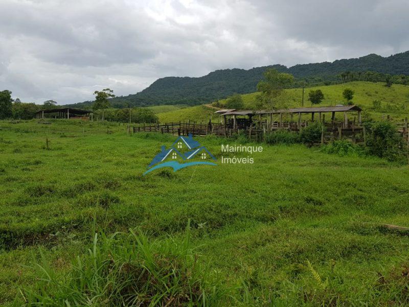 Fazenda/Sítio à Venda, 6655000 m² por R$ 25.000.000 COD. FZ04