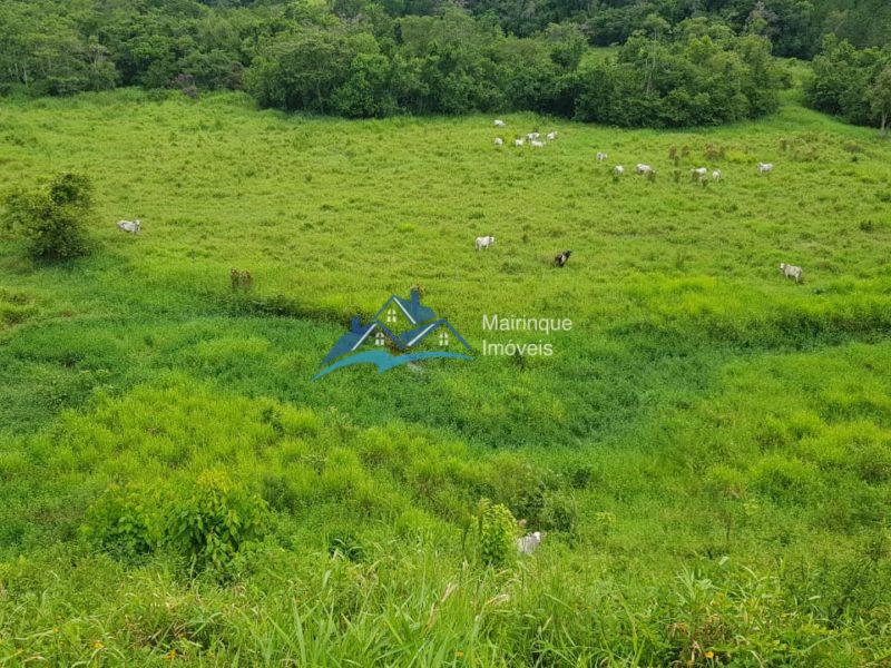 Fazenda/Sítio à Venda, 6655000 m² por R$ 25.000.000 COD. FZ04