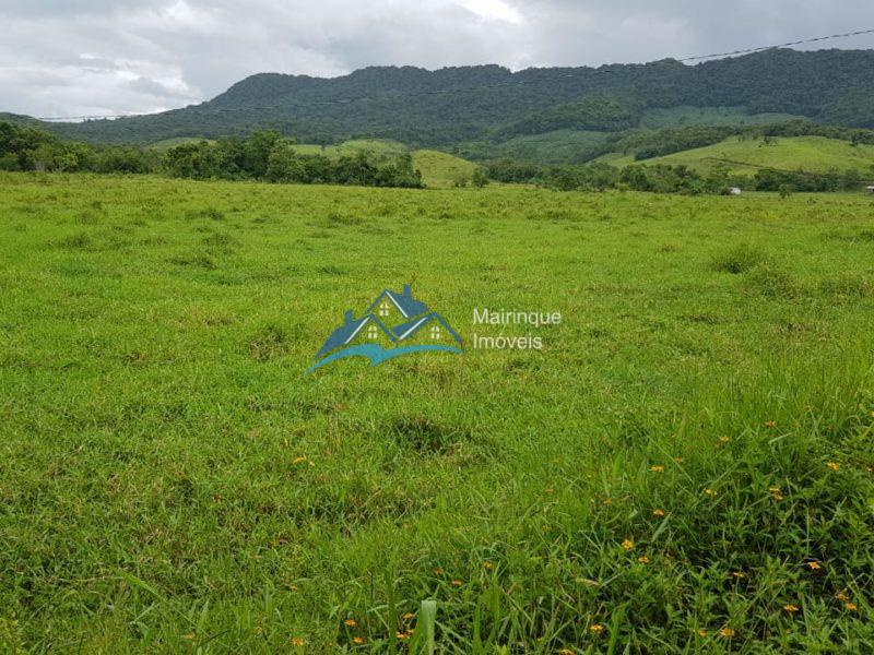 Fazenda/Sítio à Venda, 6655000 m² por R$ 25.000.000 COD. FZ04