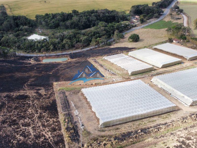 Fazenda/Sítio à Venda, 120000 m² por R$ 1.150.000 COD. ch474