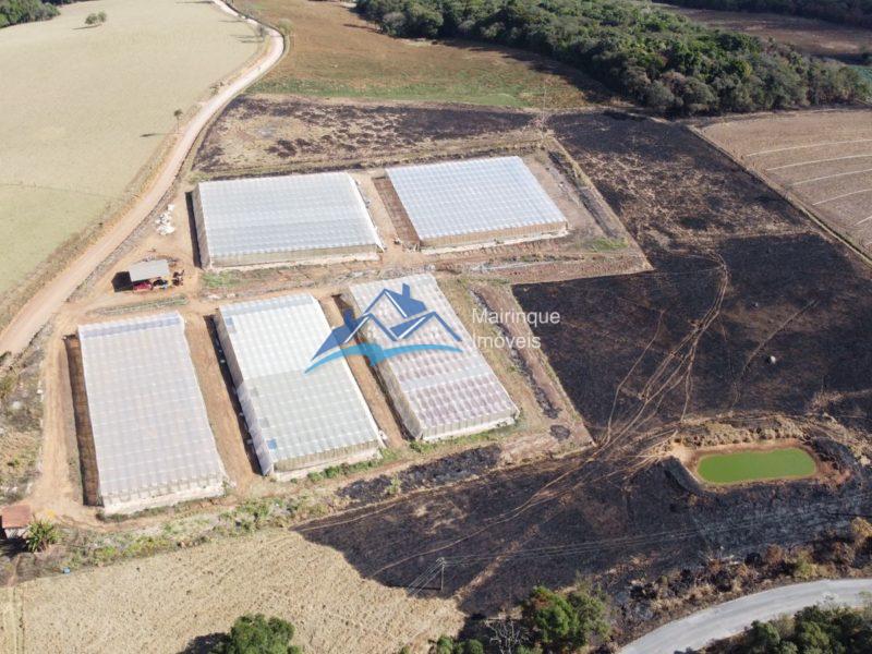 Fazenda/Sítio à Venda, 120000 m² por R$ 1.150.000 COD. ch474