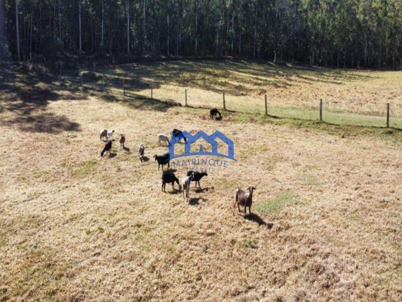 Fazenda/Sítio à Venda, 1.016.400 m² por R$ 8.400.000 Cód. ch464