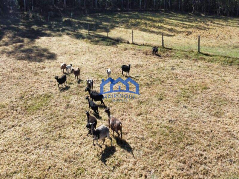 Fazenda/Sítio à Venda, 1.016.400 m² por R$ 8.400.000 Cód. ch464