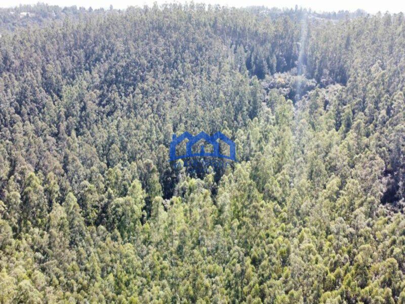 Fazenda/Sítio à Venda, 1.016.400 m² por R$ 8.400.000 Cód. ch464