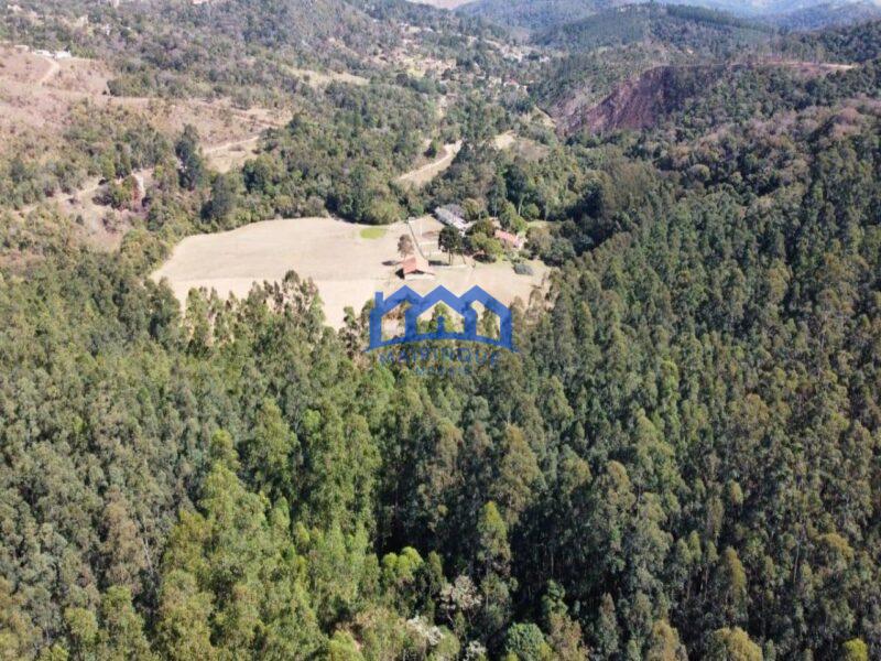 Fazenda/Sítio à Venda, 1.016.400 m² por R$ 8.400.000 Cód. ch464