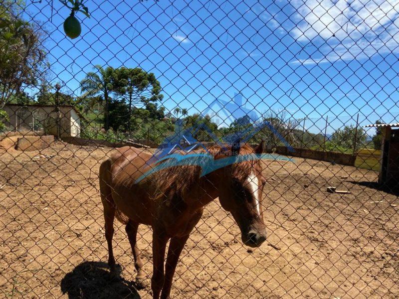 Fazenda/Sítio com 3 Quartos e 1 banheiro à Venda, 4000 m² por R$ 510.000 COD. ch577