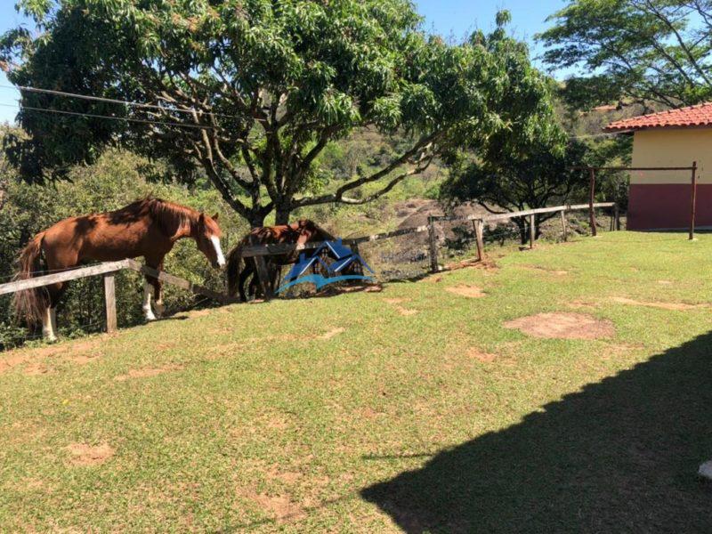 Sitio com 3 Quartos e 2 banheiros à Venda, 18000 m² por R$ 1.100.000 COD. ch810