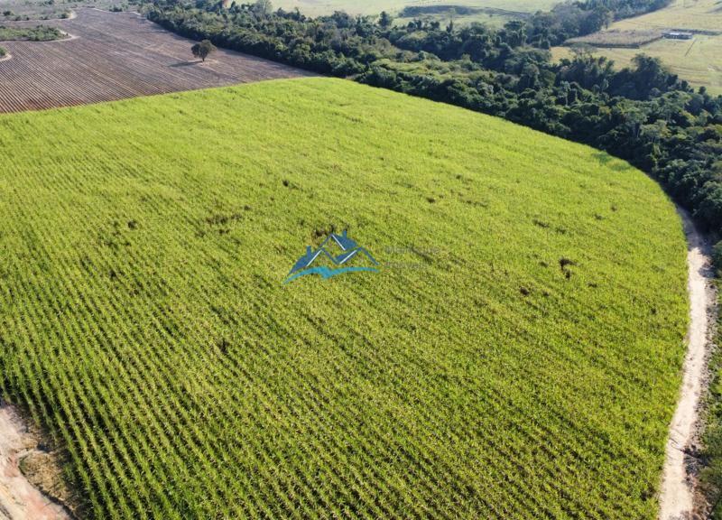 Fazenda/Sítio à Venda, 240.000 m² por R$ 5.000.000 COD. ch813