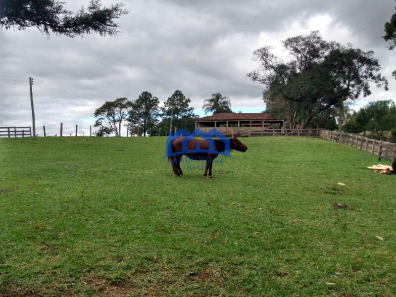 Fazenda/Sítio à Venda, com 150 alqueires por R$ 22.500.000 Cód. ch815