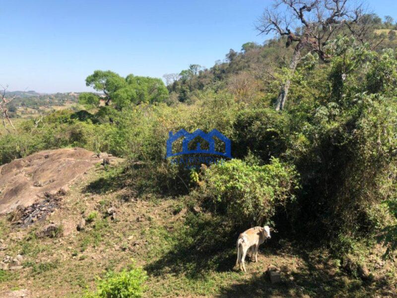 Sitio com 3 Quartos e 2 banheiros à Venda, 18.000 m² por R$ 1.100.000 Cód. ch810