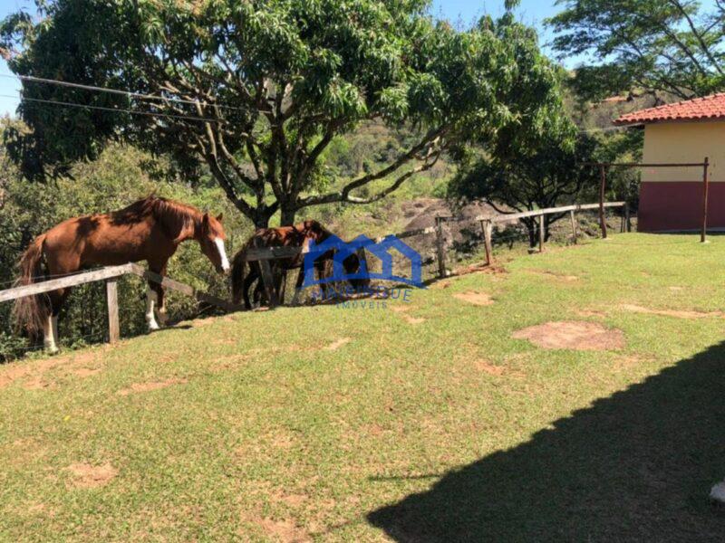 Sitio com 3 Quartos e 2 banheiros à Venda, 18.000 m² por R$ 1.100.000 Cód. ch810