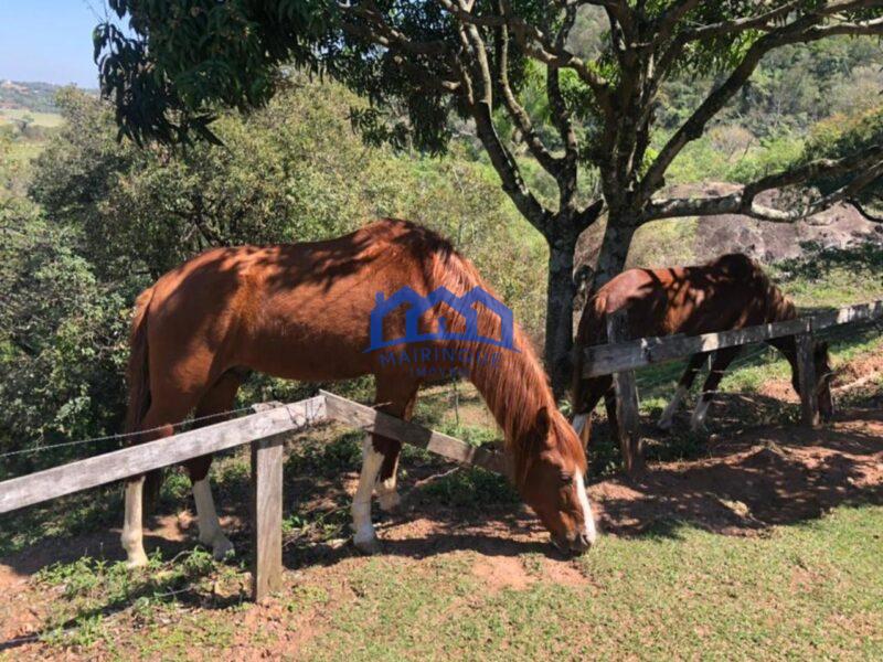 Sitio com 3 Quartos e 2 banheiros à Venda, 18.000 m² por R$ 1.100.000 Cód. ch810
