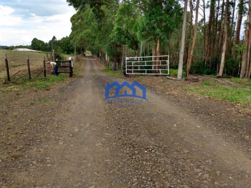 Fazenda/Sítio à Venda, com 150 alqueires por R$ 22.500.000 Cód. ch815