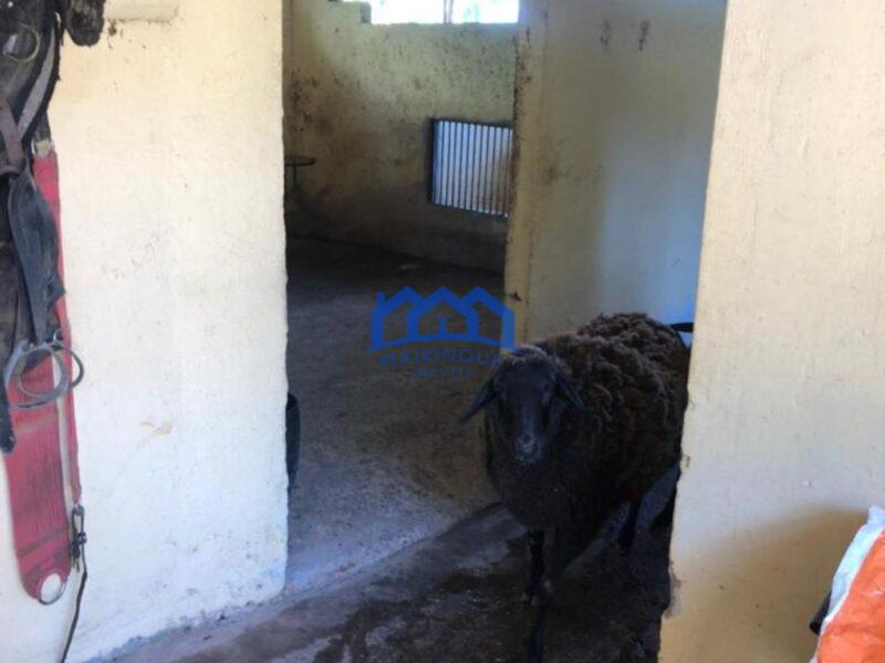 Sitio com 3 Quartos e 2 banheiros à Venda, 18.000 m² por R$ 1.100.000 Cód. ch810