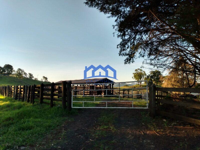 Fazenda/Sítio à Venda, com 150 alqueires por R$ 22.500.000 Cód. ch815