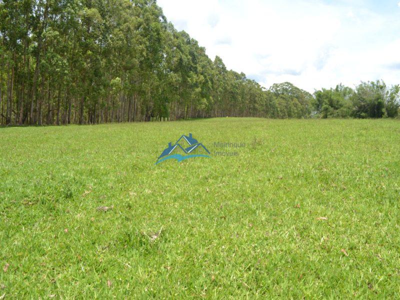 Fazenda em Itapetininga!! 3920400 m², por R$ 1.400.000,00 cod.ch839