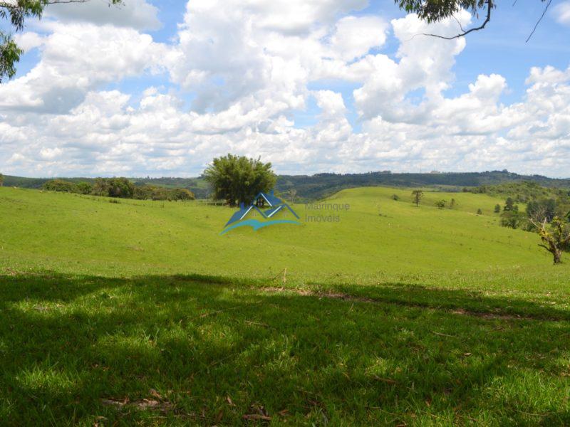 Fazenda em Itapetininga!! 3920400 m², por R$ 1.400.000,00 cod.ch839