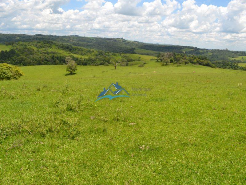 Fazenda em Itapetininga!! 3920400 m², por R$ 1.400.000,00 cod.ch839