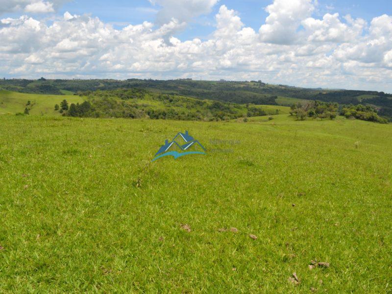 Fazenda em Itapetininga!! 3920400 m², por R$ 1.400.000,00 cod.ch839