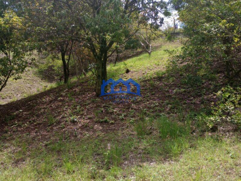 Chácara com 2 Quartos e 1 banheiros à Venda, 5.580 m² por R$ 465.000 Cód. ch946