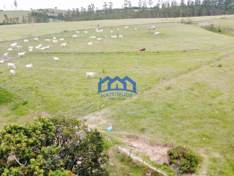 Fazenda/Sítio com 3 Quartos e 2 banheiros à Venda, 1.790.800,00 m² por R$ 12.500.000 COD. ch1391