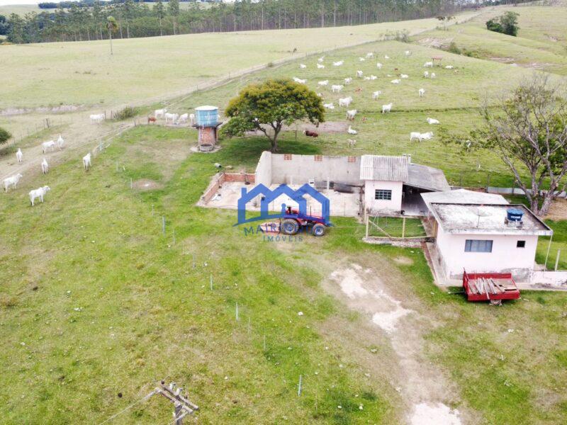 Fazenda/Sítio com 3 Quartos e 2 banheiros à Venda, 1.790.800,00 m² por R$ 12.500.000 COD. ch1391