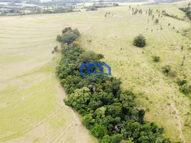 Fazenda/Sítio com 3 Quartos e 2 banheiros à Venda, 1.790.800,00 m² por R$ 12.500.000 COD. ch1391