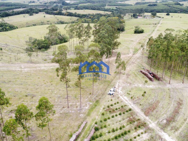 Fazenda/Sítio com 3 Quartos e 2 banheiros à Venda, 1.790.800,00 m² por R$ 12.500.000 COD. ch1391