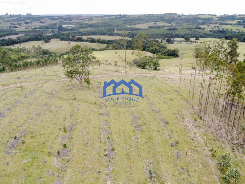 Fazenda/Sítio com 3 Quartos e 2 banheiros à Venda, 1.790.800,00 m² por R$ 12.500.000 COD. ch1391