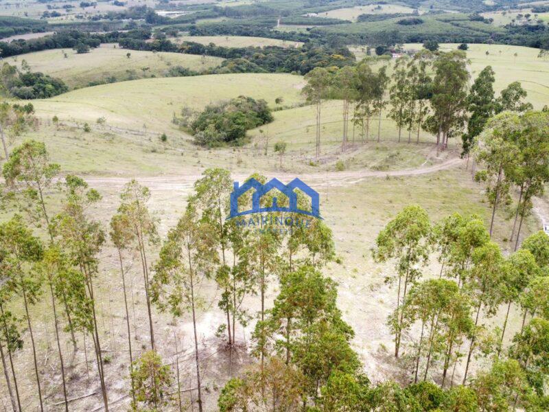 Fazenda/Sítio com 3 Quartos e 2 banheiros à Venda, 1.790.800,00 m² por R$ 12.500.000 COD. ch1391