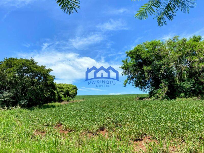 Fazenda/Sítio com 5 Quartos e 5 banheiros à Venda, 1.815.000 m² por R$ 13.000.000 COD. ch1456