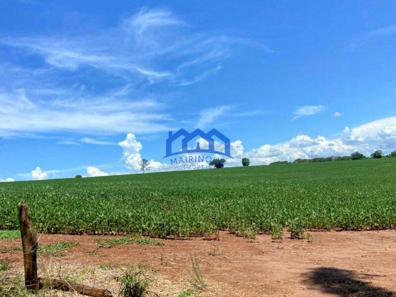 Fazenda/Sítio com 5 Quartos e 5 banheiros à Venda, 1.815.000 m² por R$ 13.000.000 COD. ch1456