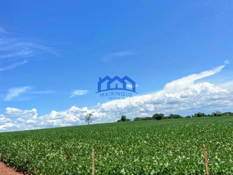 Fazenda/Sítio com 5 Quartos e 5 banheiros à Venda, 1.815.000 m² por R$ 13.000.000 COD. ch1456