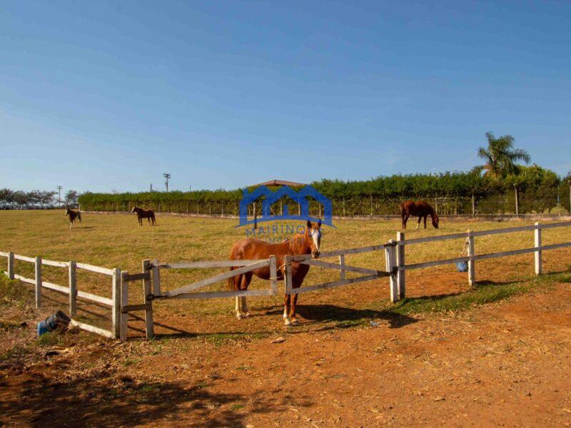 Sítio/Fazenda com 3 Quartos e 2 banheiros à Venda, 484000 m² por R$ 12.000.000,00 COD. ch1521