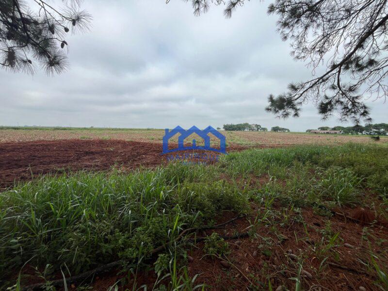 Fazenda a venda na região de Avaré 3.3638,00m² R$ 42.000.000,00