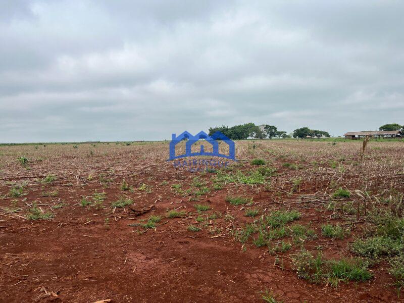 Fazenda a venda na região de Avaré 3.3638,00m² R$ 42.000.000,00