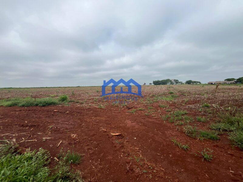 Fazenda a venda na região de Avaré 3.3638,00m² R$ 42.000.000,00