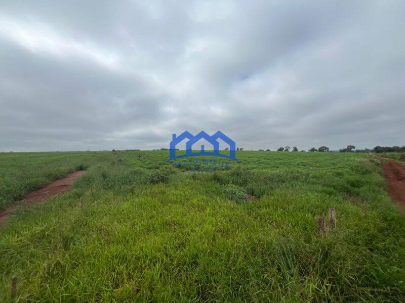 Fazenda a venda na região de Avaré 3.3638,00m² R$ 42.000.000,00