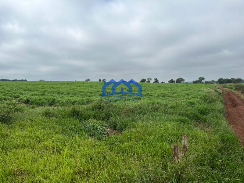 Fazenda a venda na região de Avaré 3.3638,00m² R$ 42.000.000,00