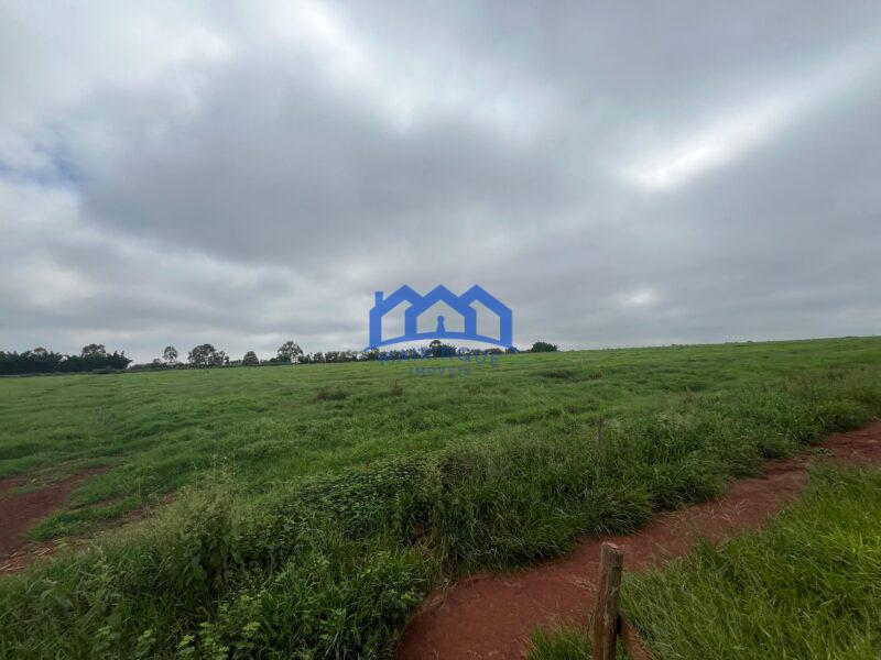 Fazenda a venda na região de Avaré 3.3638,00m² R$ 42.000.000,00