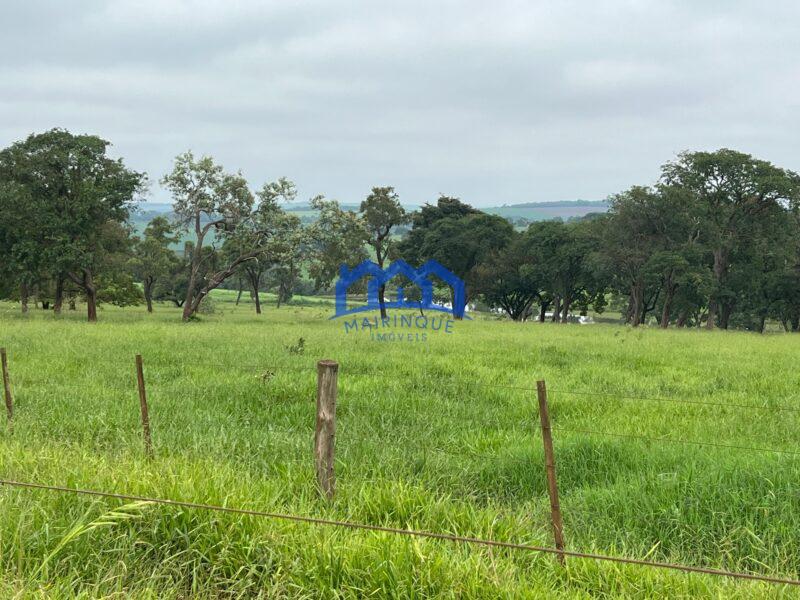 Fazenda a venda na região de Avaré 3.3638,00m² R$ 42.000.000,00