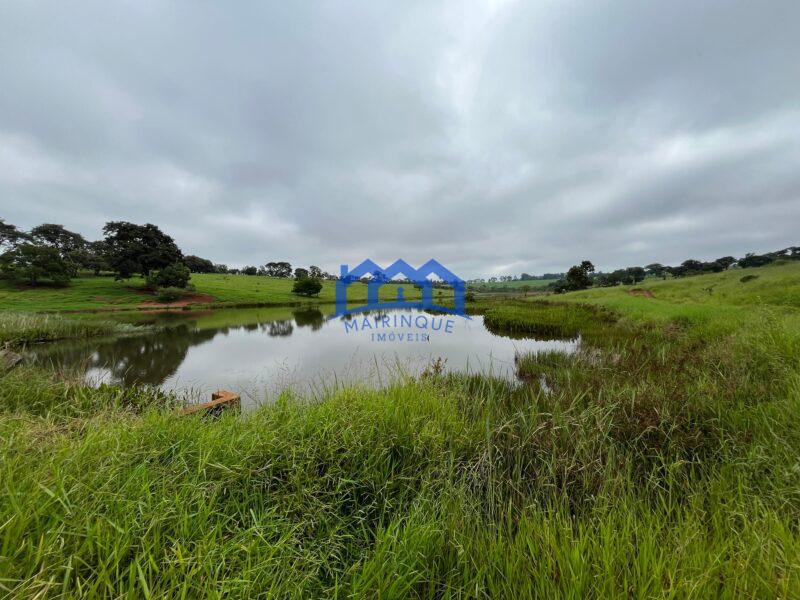 Fazenda a venda na região de Avaré 3.3638,00m² R$ 42.000.000,00