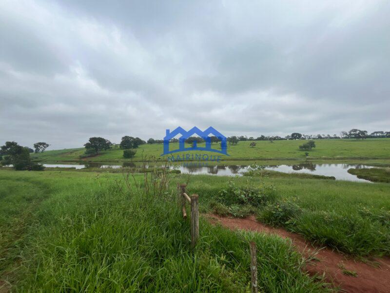 Fazenda a venda na região de Avaré 3.3638,00m² R$ 42.000.000,00