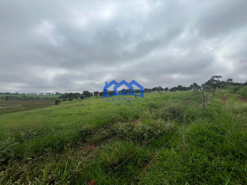 Fazenda a venda na região de Avaré 3.3638,00m² R$ 42.000.000,00